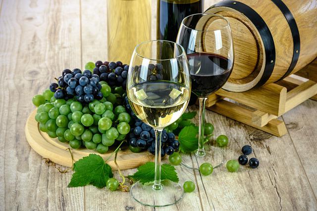 vino qatar 2022