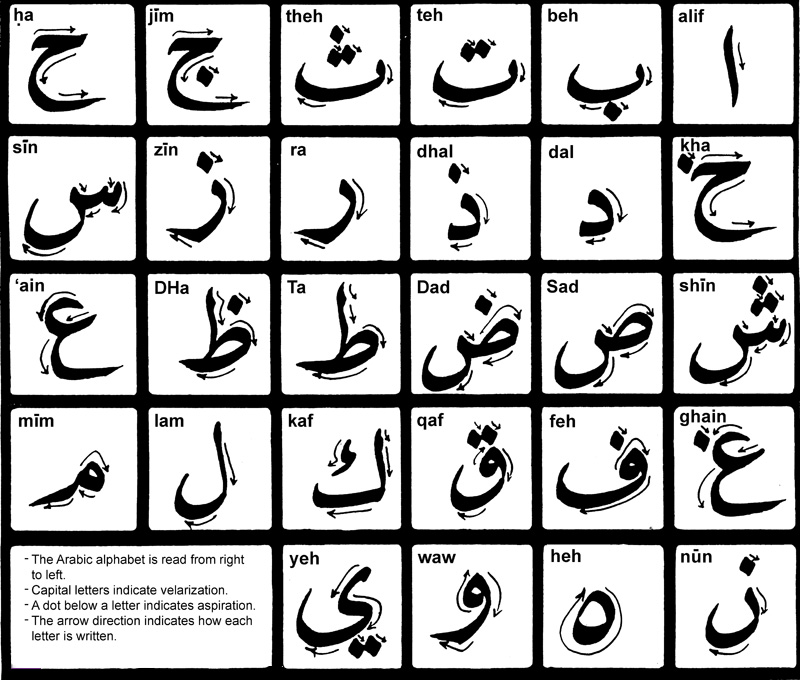 Qatar University lanza tres cursos de idioma árabe para estudiar el idioma de manera remota y gratuita. 