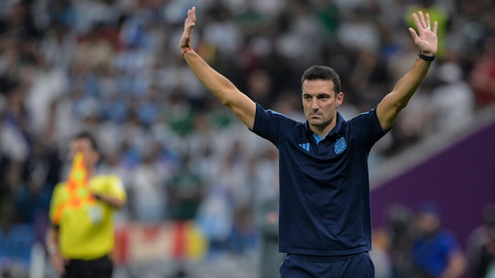 scaloni brasil