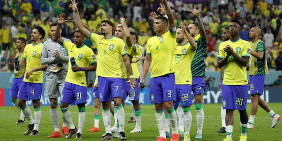 nuevo dt brasil