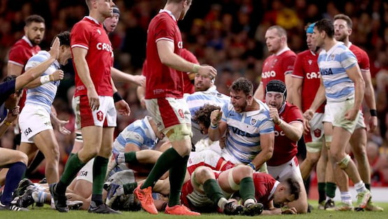 los pumas gales